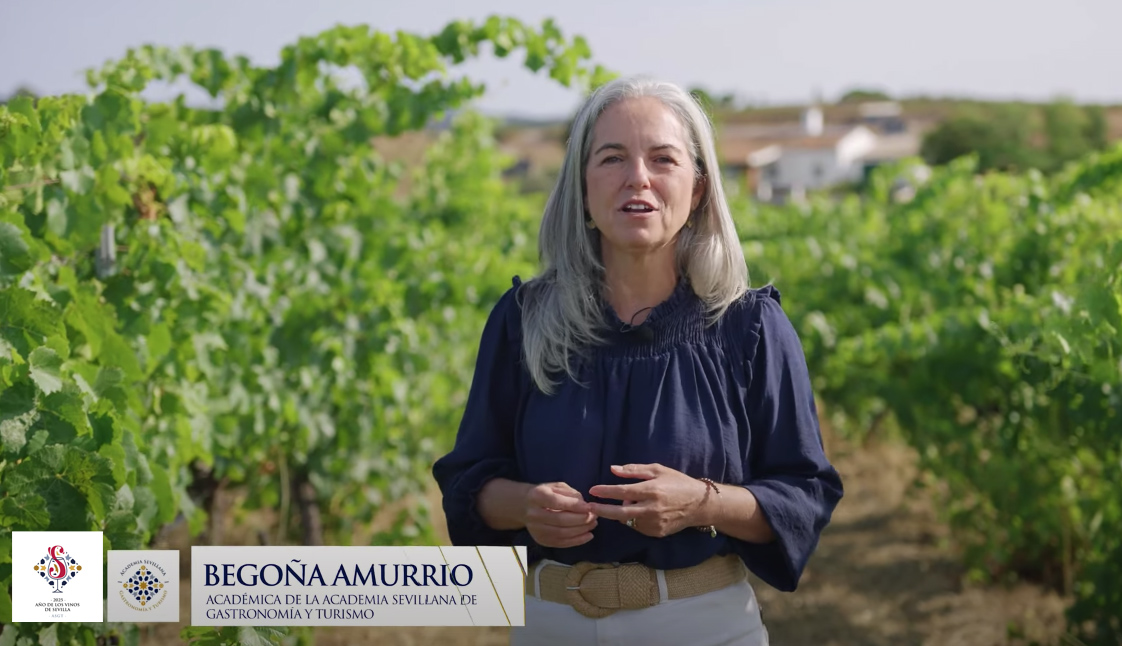 El Vino de la provincia de Sevilla